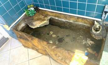 Imagem 3: Cobertura a venda 175 m² 3 quartos, 1 suite master, 3 vagas Vl Caminho do Mar São Bernardo