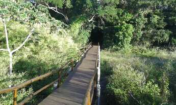 Imagem 6: Imperdível! Ótimo terreno plano na fase 1 - Alphaville - Rio Costa do Sol 1