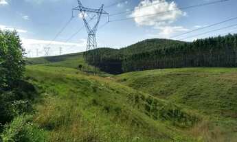 Imagem: Fazenda em Campos do Goytacaz RJ