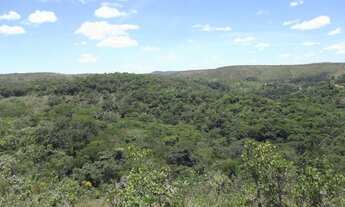 Imagem 6: Terreno rural 15ha com luz, mata nativa, Serra do Cipo (Temos varias opçoes)