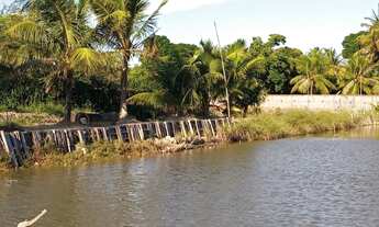 Imagem 2: Vendo Viveiro no Albano Franco