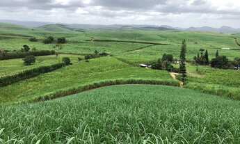 Imagem 5: Propriedade Rural em Escada-PE com 30 hectares, a 150 metros das Margens da BR-101