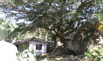 Imagem: PORTO ALEGRE - Casa Padrão - Belém Velho