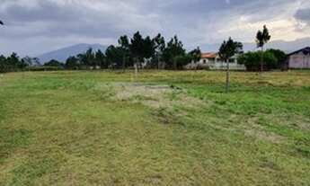 Imagem 2: Terreno em Passagem do Maciambu