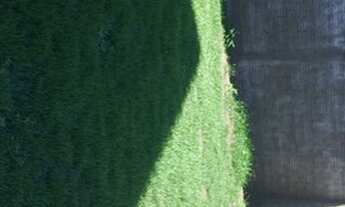 Imagem 7: Imóvel na Vila A: Terreno com 1120,04 m2 na Vila A