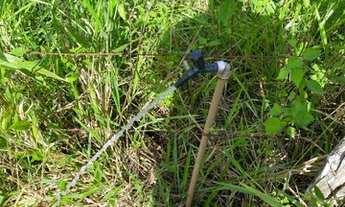 Imagem 6: Fazenda pequena 150.000 mil