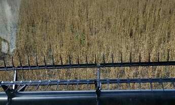 Imagem 3: Fazenda a venda Fazenda / sítio com venda por R$45.000.000