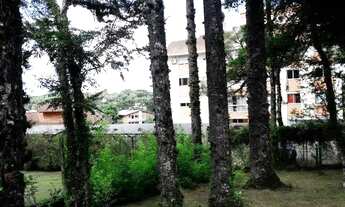 Imagem 3: Terreno - Bairro Centro