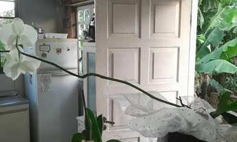 Imagem 3: Vendo casa ponta de baixo lugar encantador