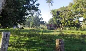 Imagem 4: Excelente chácara 30 hec - Douradina MS