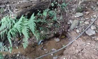 Imagem: Sítio dentro de condomínio