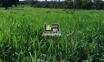 Imagem: Fazenda de 40 Alqueires em Santa Tereza