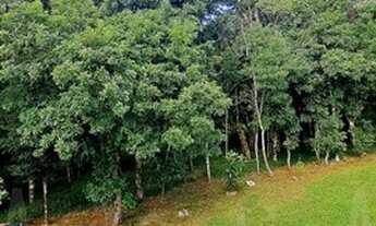 Imagem: Caxias Do Sul - Casa Padrão - Ana Rech