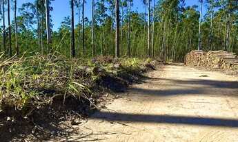 Imagem 5: Seu Espaço de Serenidade - Lotes em Condomínio Fechado