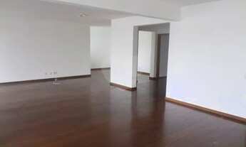 Imagem 2: Pinheiros perto do Colégio St Francis