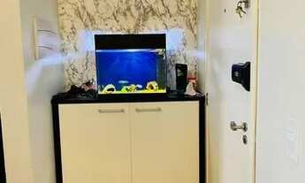 Imagem 6: Apartamento com 2 dormitórios, 57 m² - venda por R$ 370.000,00 ou aluguel por R$ 2.768,00