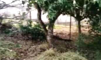 Imagem 2: Lote 300 m2 sendo: 15 de frente de 20 de lado - aceito proposta de veículo no negócio