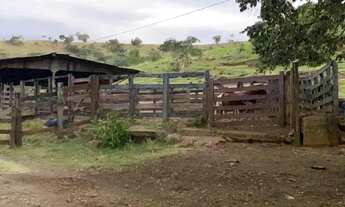 Imagem 2: Fazenda em Nova Laranjeiras Parana