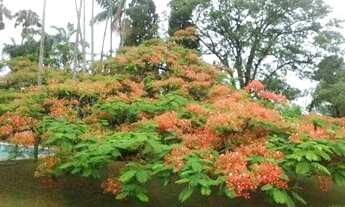 Imagem 3: Casa - Sousas - Campinas