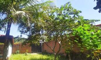 Imagem 6: Casa Taboca do Pau Ferrado (Jardim das Palmeiras