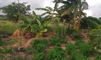 Imagem 5: SÍTIO com uma tarefa