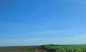 Imagem 6: Fazenda a venda Fazenda / sítio com venda por R$45.000.000