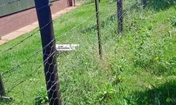 Imagem 3: Chácara Vila Rural em lerroville