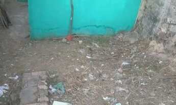 Imagem 2: Vendo casa com terreno monte das oliveiras