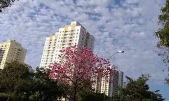 Imagem 6: Aluguel Apartamento 15 andar São Francisco