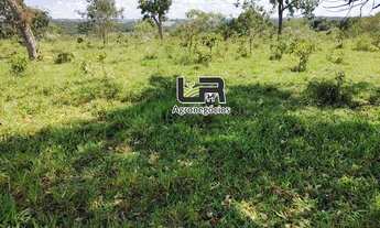 Imagem 4: Fazenyde 80 Alqueires a 90 km de Goiânia