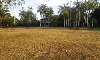 Imagem 7: Vende-se excelente sitio