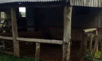 Imagem 3: Sítio,1 hectare, com uma vista para nascer do sol