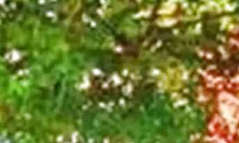 Imagem: Imóvel para venda possui 71 metros quadrados