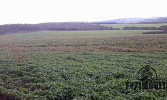 Imagem 3: FAZENDA EM DOVERLÂNDIA - GO