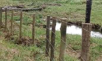 Imagem: Vendo excelente sítio no município de