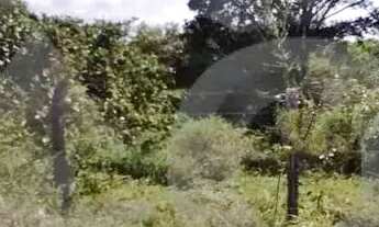 Imagem 4: Terreno Escriturado no Mosqueiro 352m² Perto do Clube Society Matapoã!