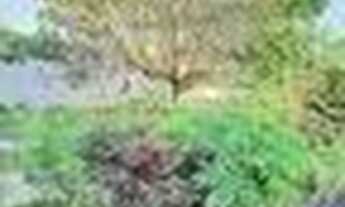 Imagem 5: Excelente casa muito bem localizada no Bairro Jardim Karaíba