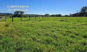 Imagem 3: Chacara completa localizada entre Araguapaz e Mozarlândia - GO