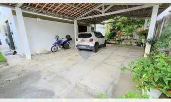 Imagem 4: O Refúgio do Pé de Açaí