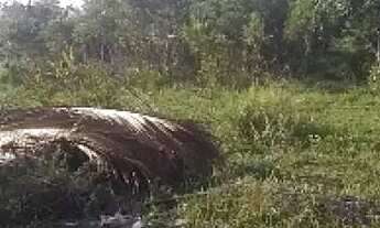 Imagem 5: Terreno no mosqueiro escriturado