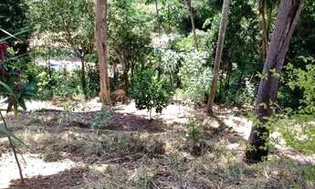 Imagem 7: Terreno santa Isabel