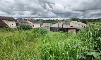 Imagem 7: Terreno à venda em Nova Cerejeira - SP