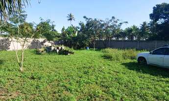 Imagem 4: Propriedade em Amélia Rodrigues