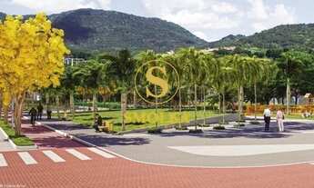 Imagem 6: Terrenos em loteamento novo e de alto padrão