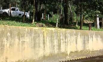 Imagem 4: Chácara com nascente em São Lourenço da Serra