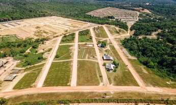 Imagem 5: Pássaros da Amazônia Lotes 300m2