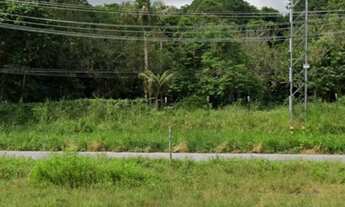 Imagem 3: Área 500 x 1.000 na AM 010 KM 13 2.510.000