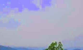 Imagem 5: Terreno para Venda em Nova Petrópolis, Vila Olinda