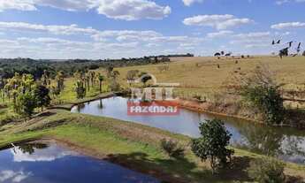 Imagem 2: Sitio 10 alqueires (48,4 hectares) Piracanjuba - Go