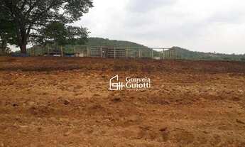 Imagem 6: Chácara em Silvânia-GO 3,2 Alqueires de Terra de Cultura, com Área de Lavoura, Pastagens